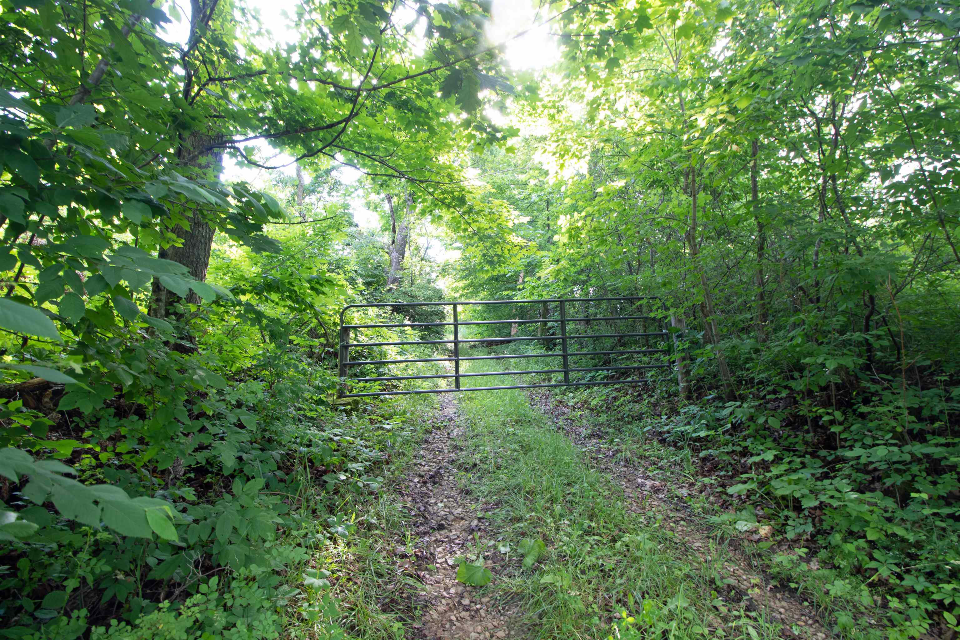 76-acres Skyline Road Blue River, WI 53518 - Photo 45 of 46