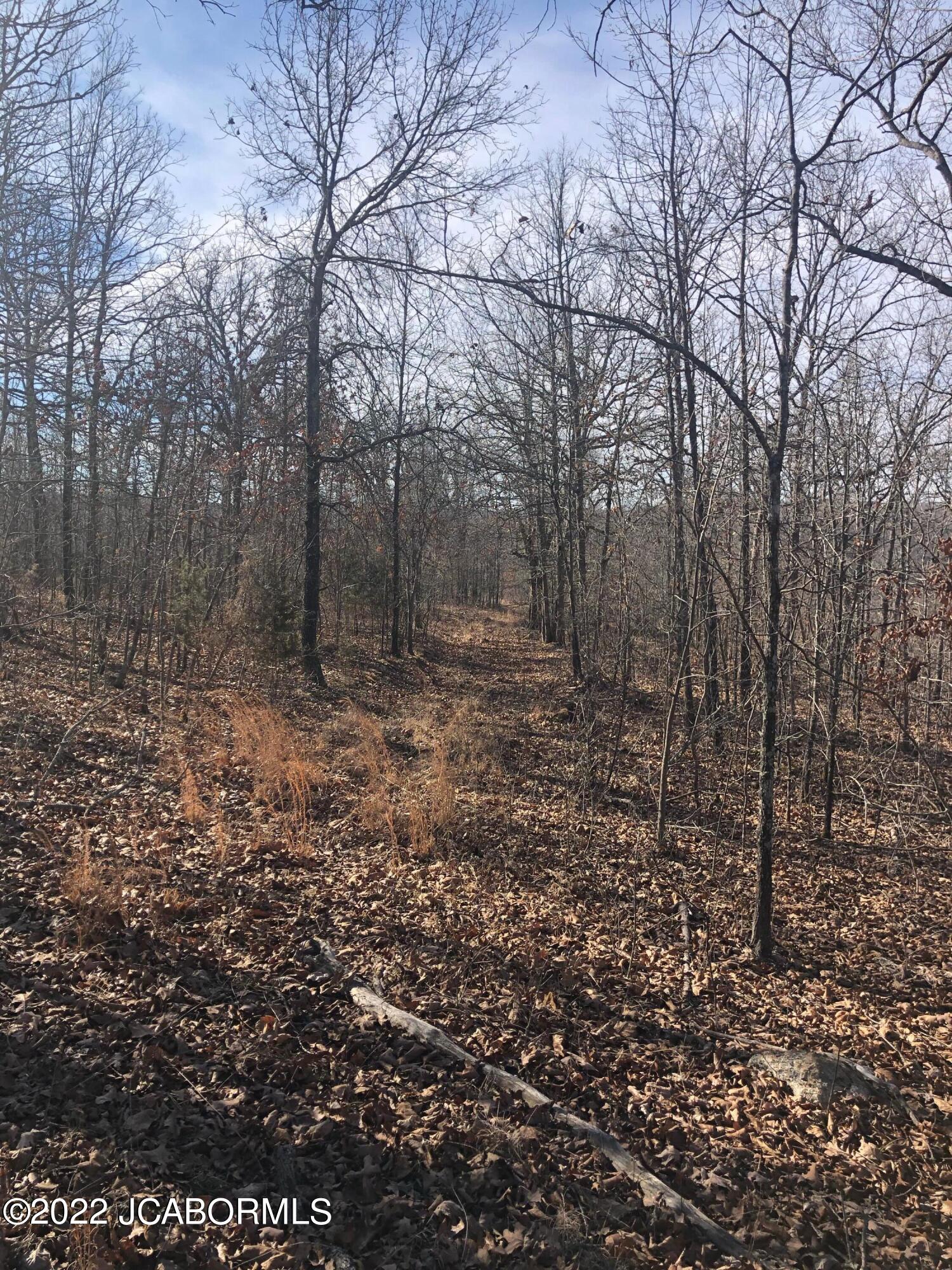 Tbd Broads Branch Road Macks Creek, MO 65786 - Photo 8 of 18