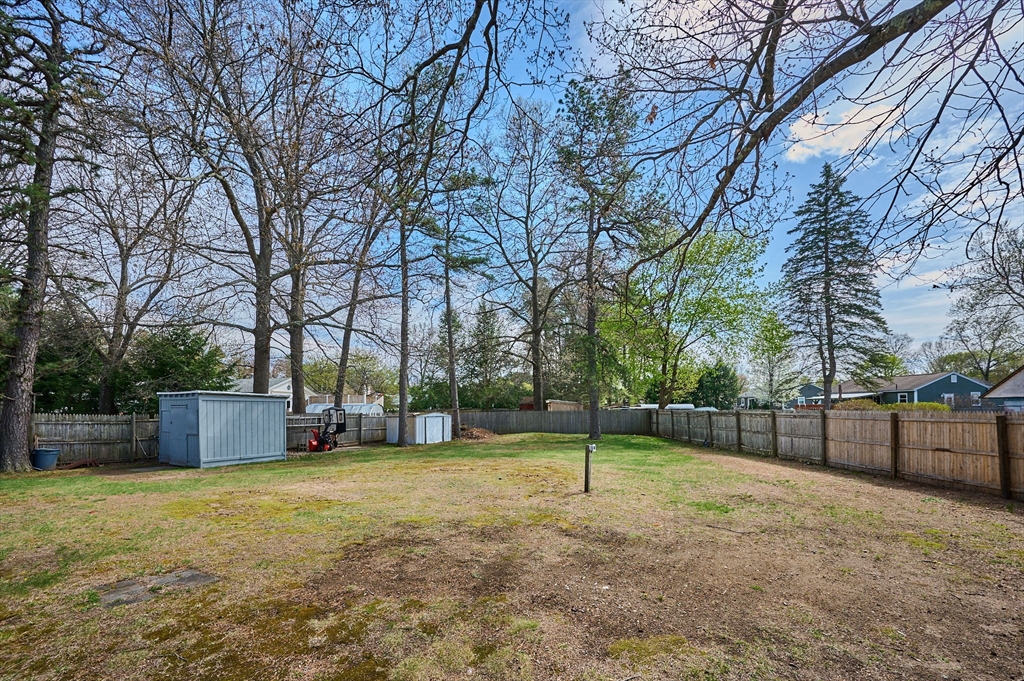 50 Phelps Street Easthampton, MA 01027 - Photo 24 of 38 a view of a yard with a tree
