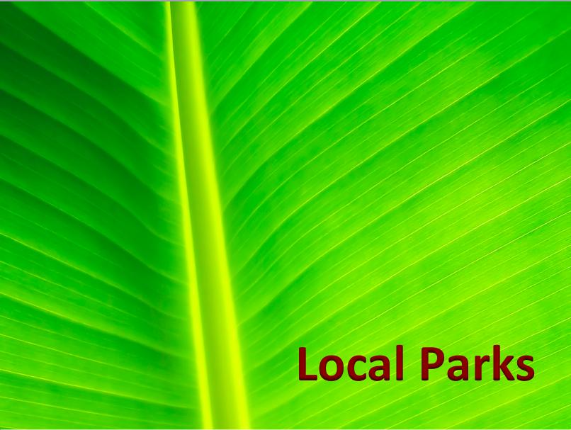 8841 First Tee Road Port St. Lucie, FL 34986 - Photo 134 of 228 100 Local Parks