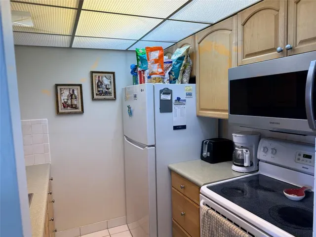 a view of yard with palm trees