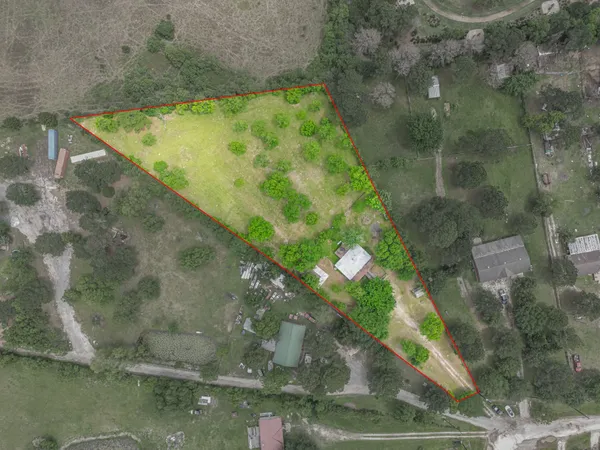 a view of a yard with a tree