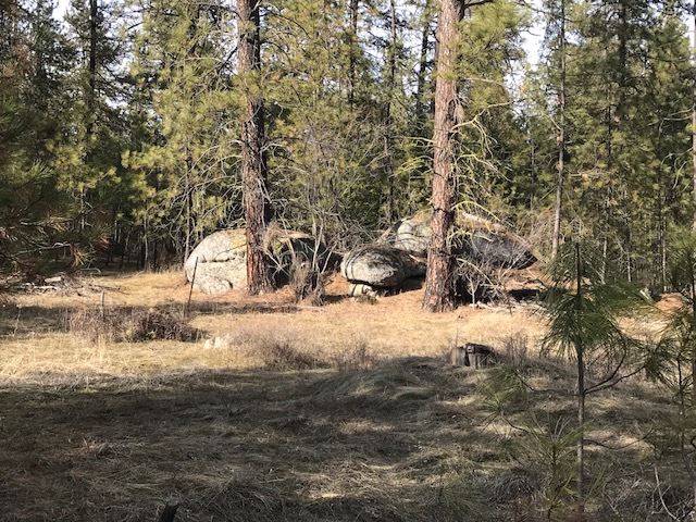 0 West Unknown Road Spokane, WA 99208 - Photo 1 of 18 Gallery Image 1