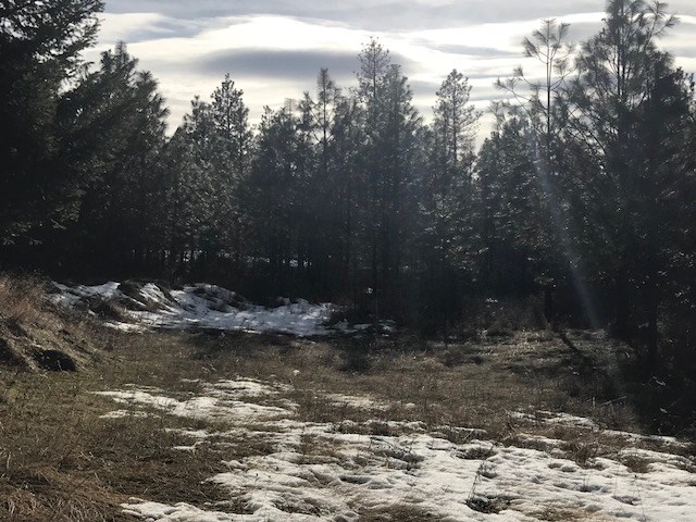 0 West Unknown Road Spokane, WA 99208 - Photo 15 of 18 Gallery Image 15