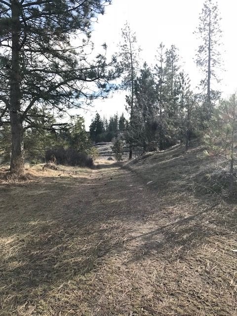 0 West Unknown Road Spokane, WA 99208 - Photo 16 of 18 Gallery Image 16
