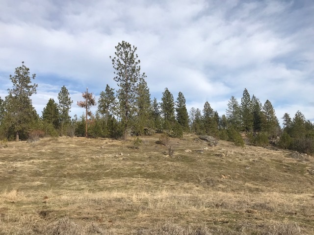 0 West Unknown Road Spokane, WA 99208 - Photo 3 of 18 Gallery Image 3