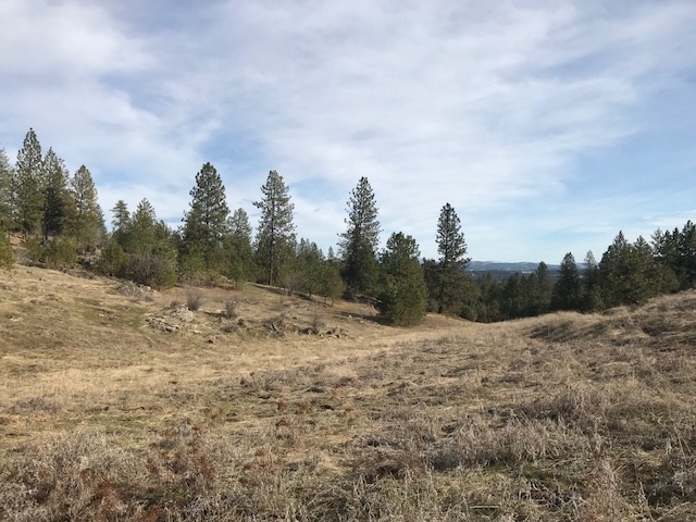 0 West Unknown Road Spokane, WA 99208 - Photo 4 of 18 Gallery Image 4