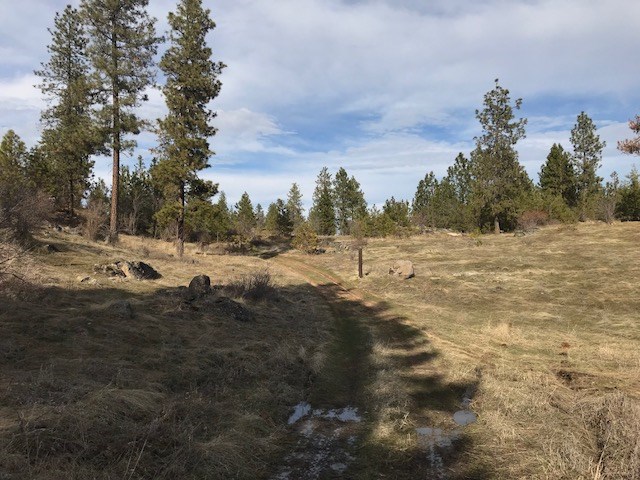 0 West Unknown Road Spokane, WA 99208 - Photo 5 of 18 Gallery Image 5