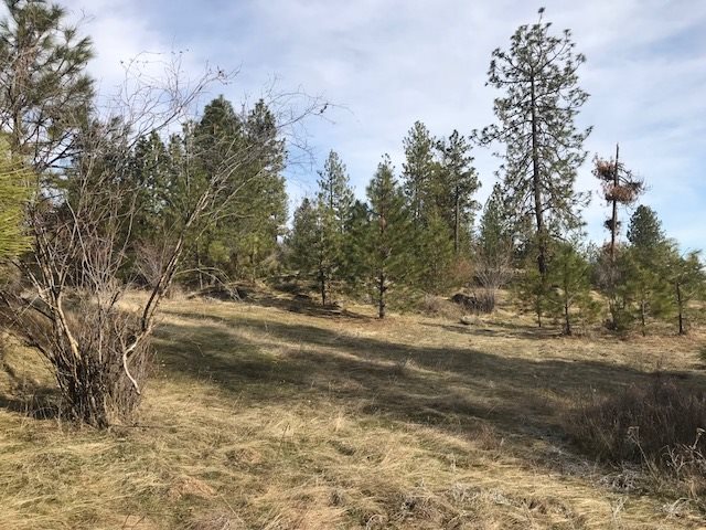 0 West Unknown Road Spokane, WA 99208 - Photo 6 of 18 Gallery Image 6
