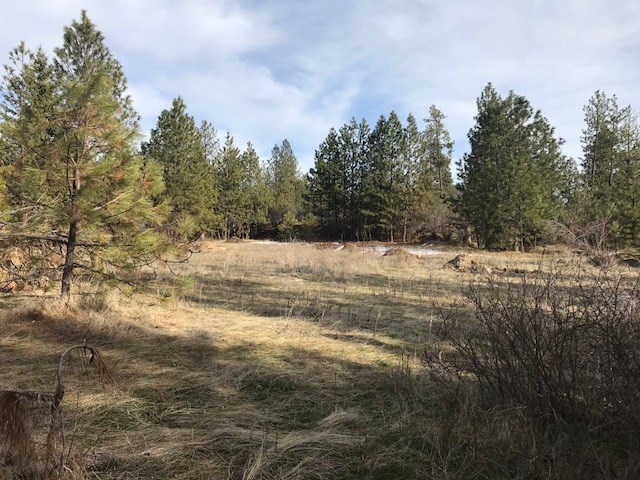 0 West Unknown Road Spokane, WA 99208 - Photo 7 of 18 Gallery Image 7