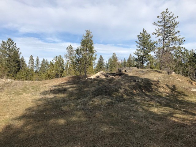 0 West Unknown Road Spokane, WA 99208 - Photo 8 of 18 Gallery Image 8
