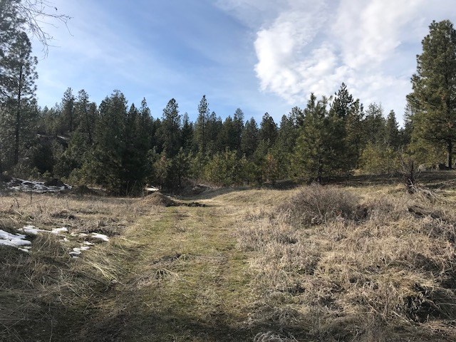 0 West Unknown Road Spokane, WA 99208 - Photo 9 of 18 Gallery Image 9