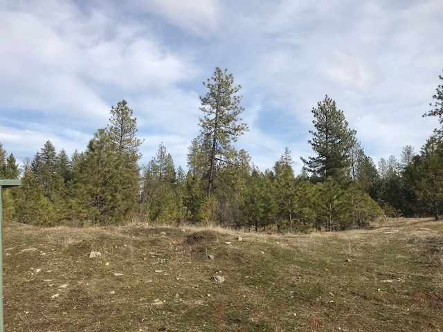 0 West Unknown Road Spokane, WA 99208 - Photo 10 of 18 Gallery Image 10