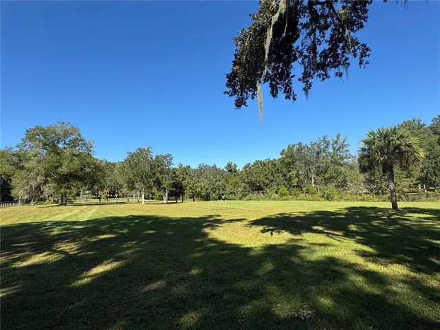a yard with tall trees