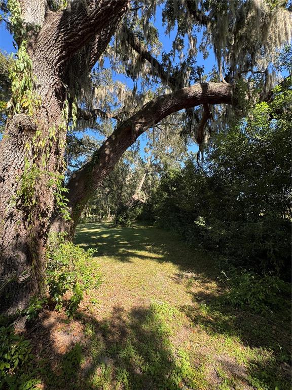 Tbd Northeast 185th Avenue Williston, FL 32696 - Photo 14 of 25 a view of lake from yard