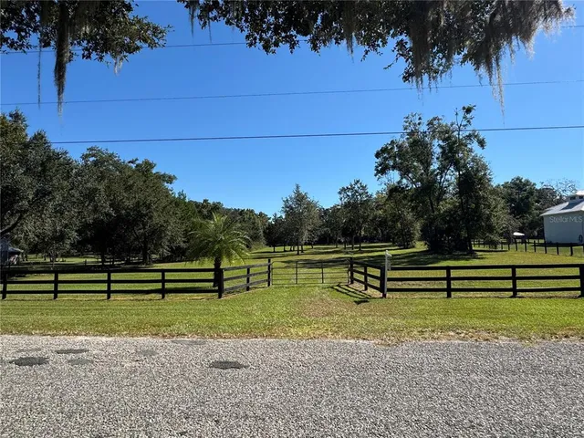 a view of park benches sitting below a green tree