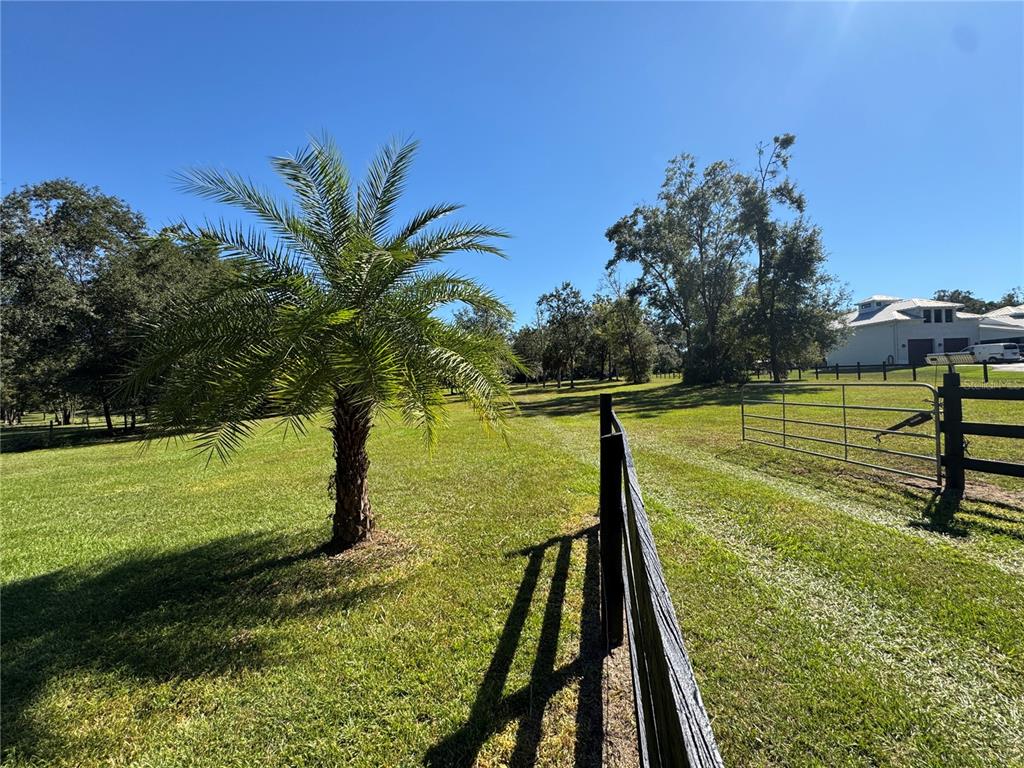Tbd Northeast 185th Avenue Williston, FL 32696 - Photo 2 of 25 a view of a lake