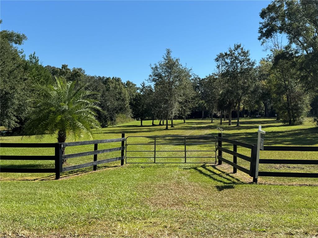 Tbd Northeast 185th Avenue Williston, FL 32696 - Photo 21 of 25 a view of park benches sitting below a green tree