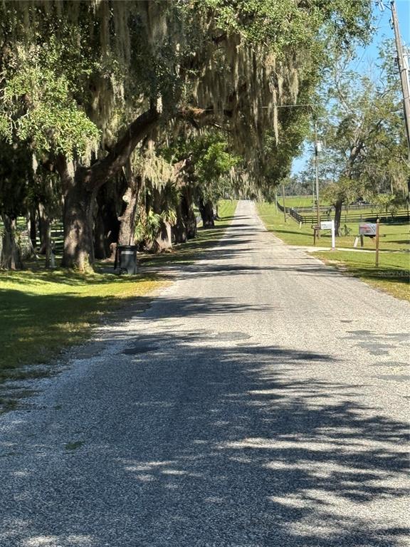 Tbd Northeast 185th Avenue Williston, FL 32696 - Photo 24 of 25 a view of a yard with large trees