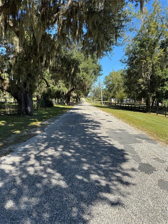 Tbd Northeast 185th Avenue Williston, FL 32696 - Photo 25 of 25 a view of a field with trees
