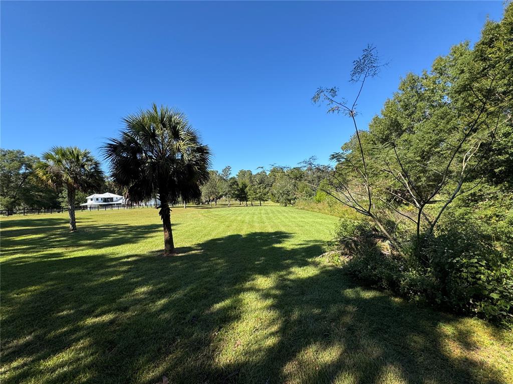 Tbd Northeast 185th Avenue Williston, FL 32696 - Photo 7 of 25 a view of an outdoor space and a yard