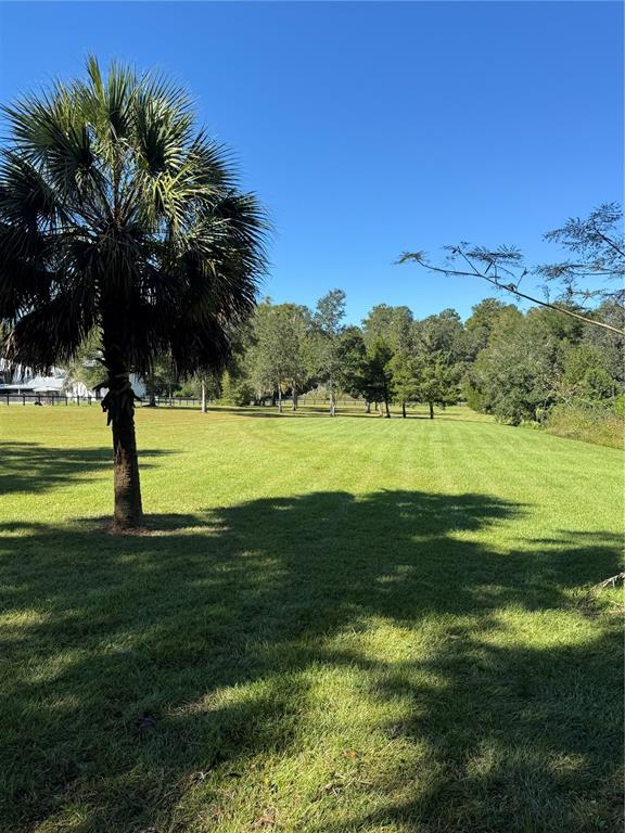 Tbd Northeast 185th Avenue Williston, FL 32696 - Photo 8 of 25 a view of a lake with a big yard