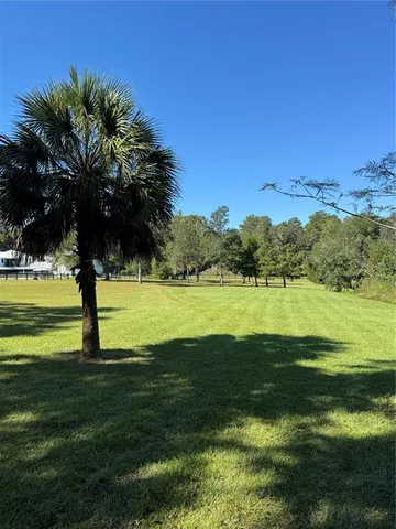a view of a field with an ocean