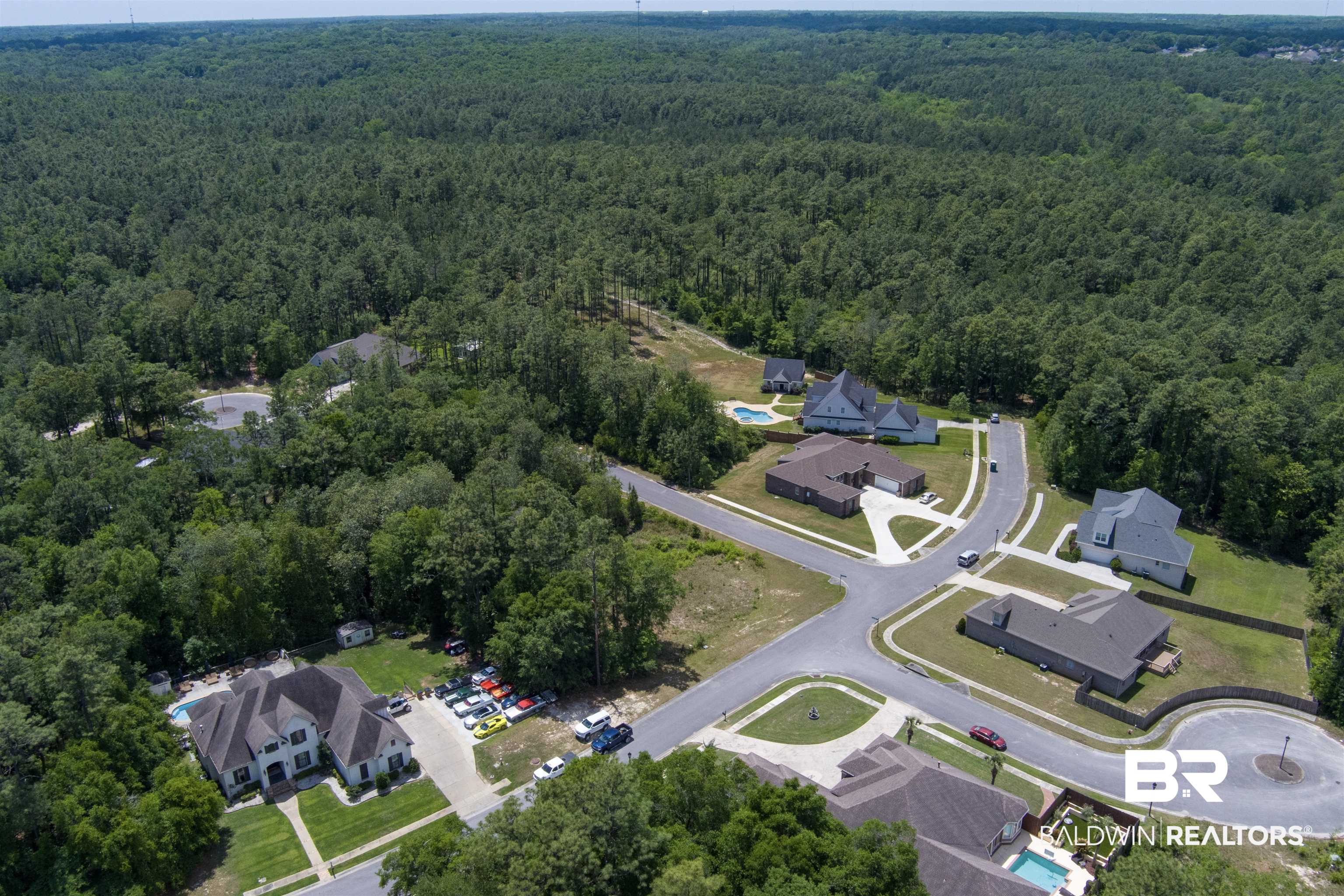 0 Stone Mill Street Mobile, AL 36619 - Photo 6 of 10