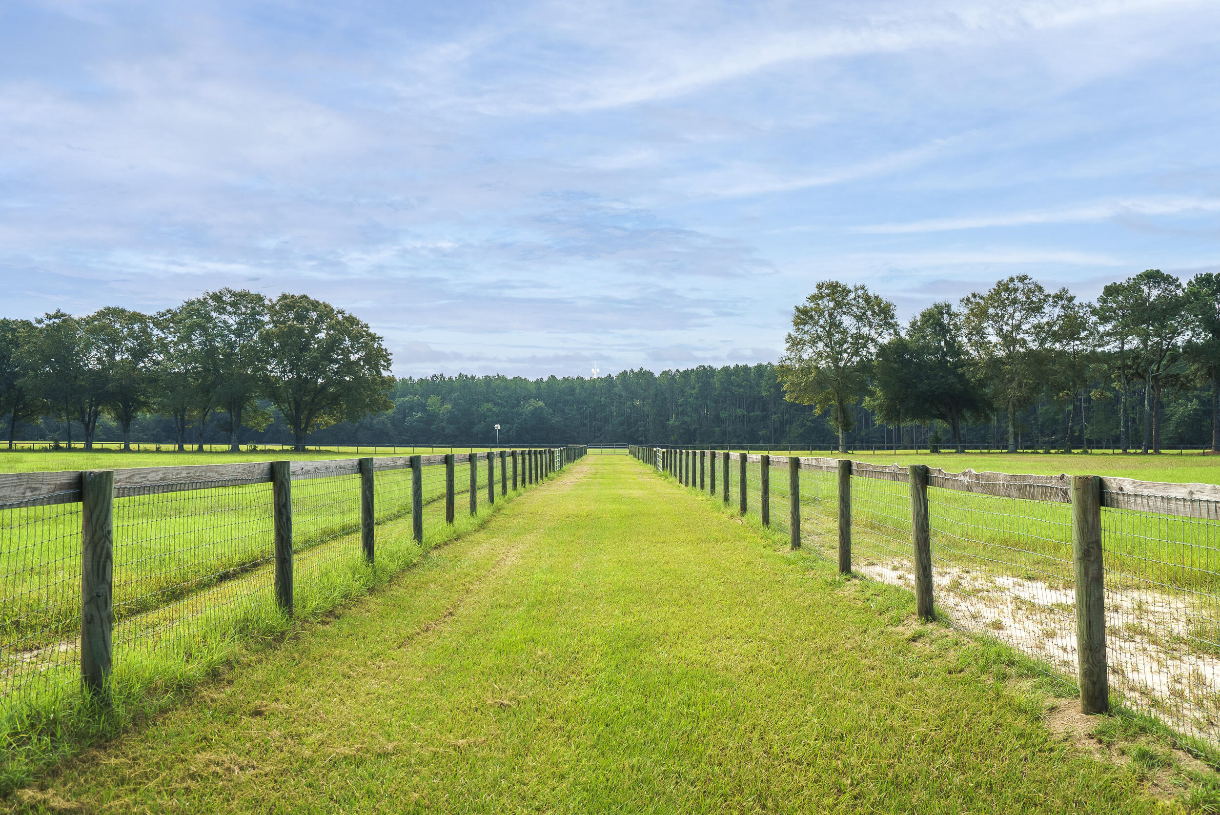 3011 Farmer Road Aiken, SC 29805 - Photo 45 of 48
