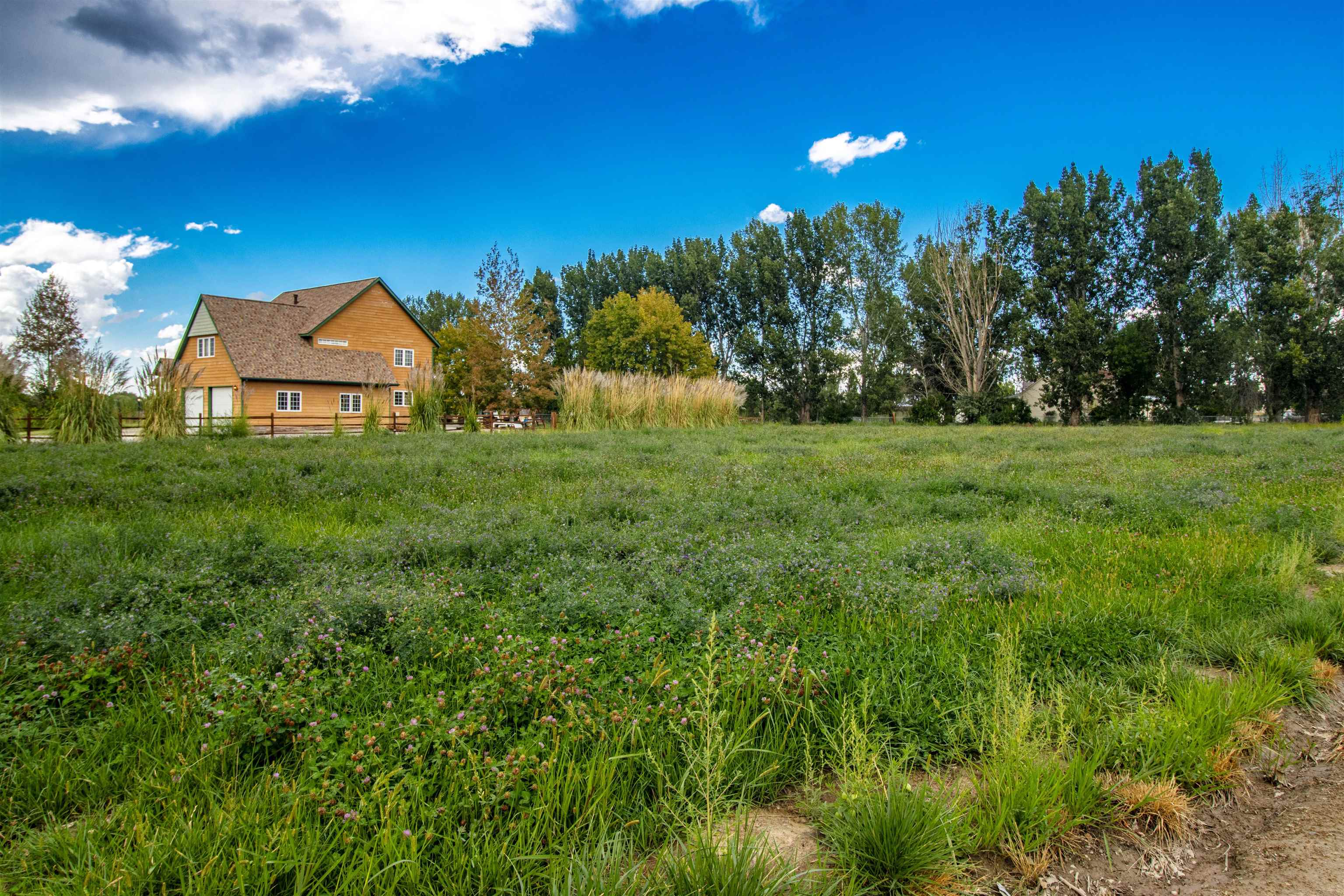 677 30 Road Grand Junction, CO 81504 - Photo 7 of 38 Gallery Image 7
