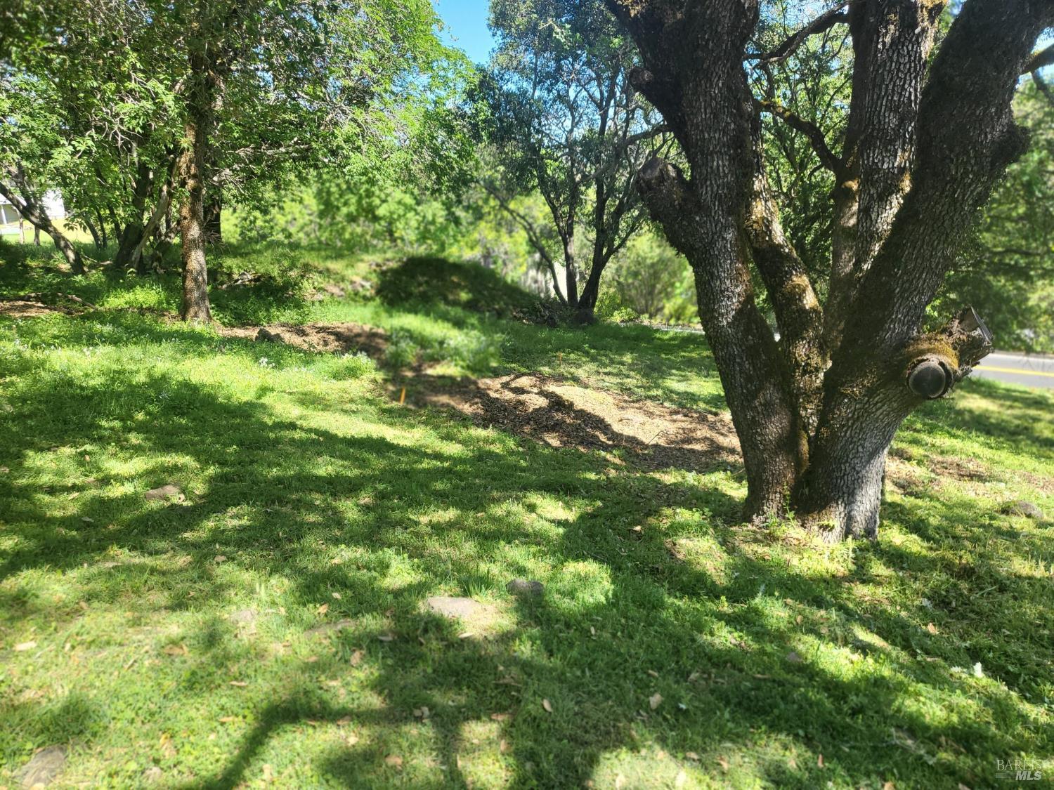 10 Ridgecrest Drive Napa, CA 94558 - Photo 4 of 13 a view of a lush green space