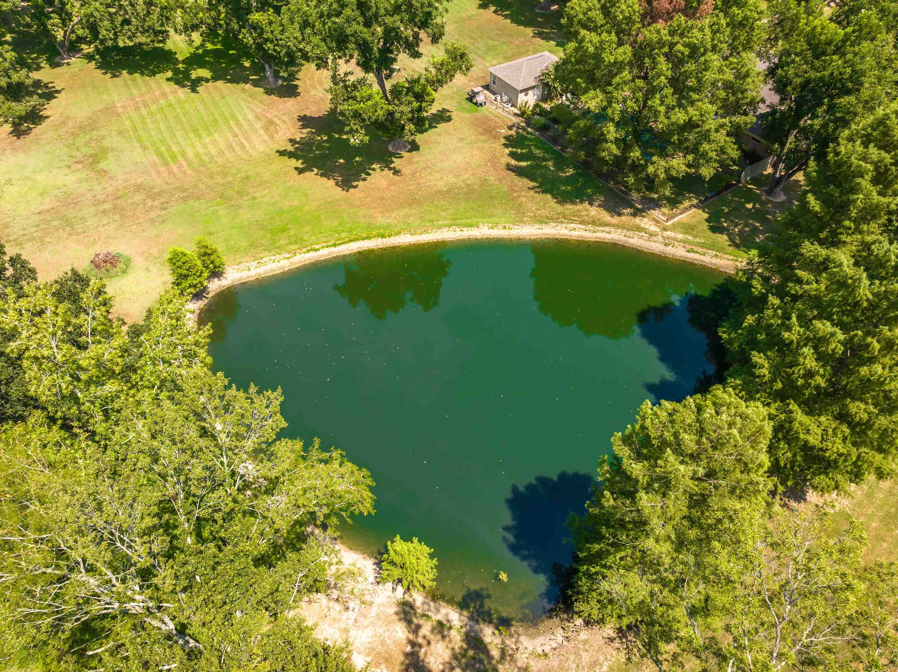6119 Brunswick Road Arlington, TN 38002 - Photo 38 of 39 a view of a garden