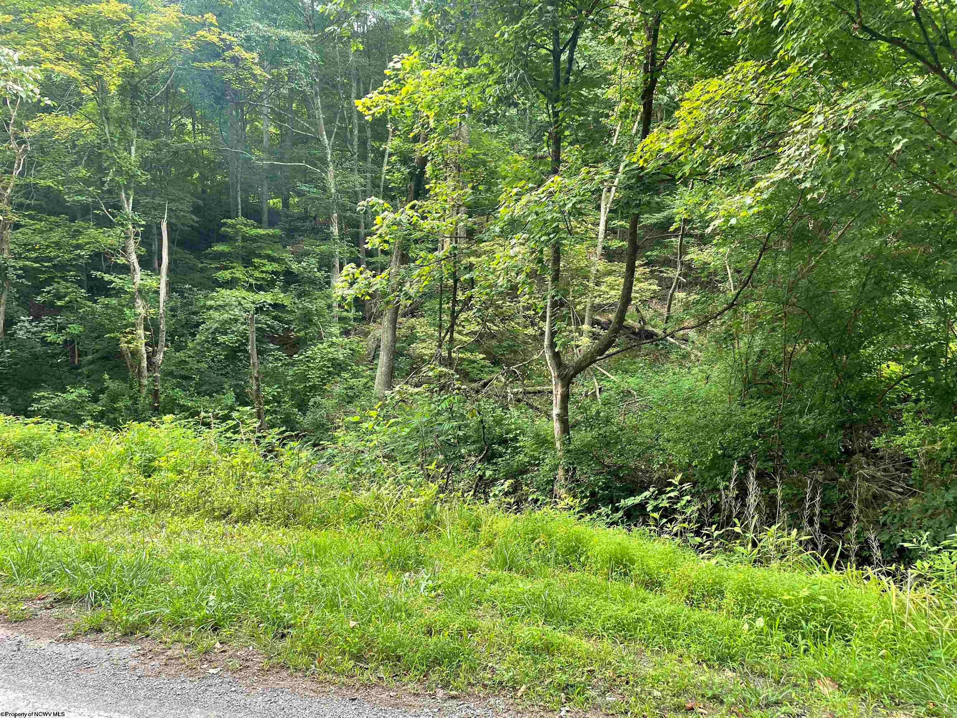 Tbd Little Mill Fall Road Fairmont, WV 26554 - Photo 20 of 20 Gallery Image 20