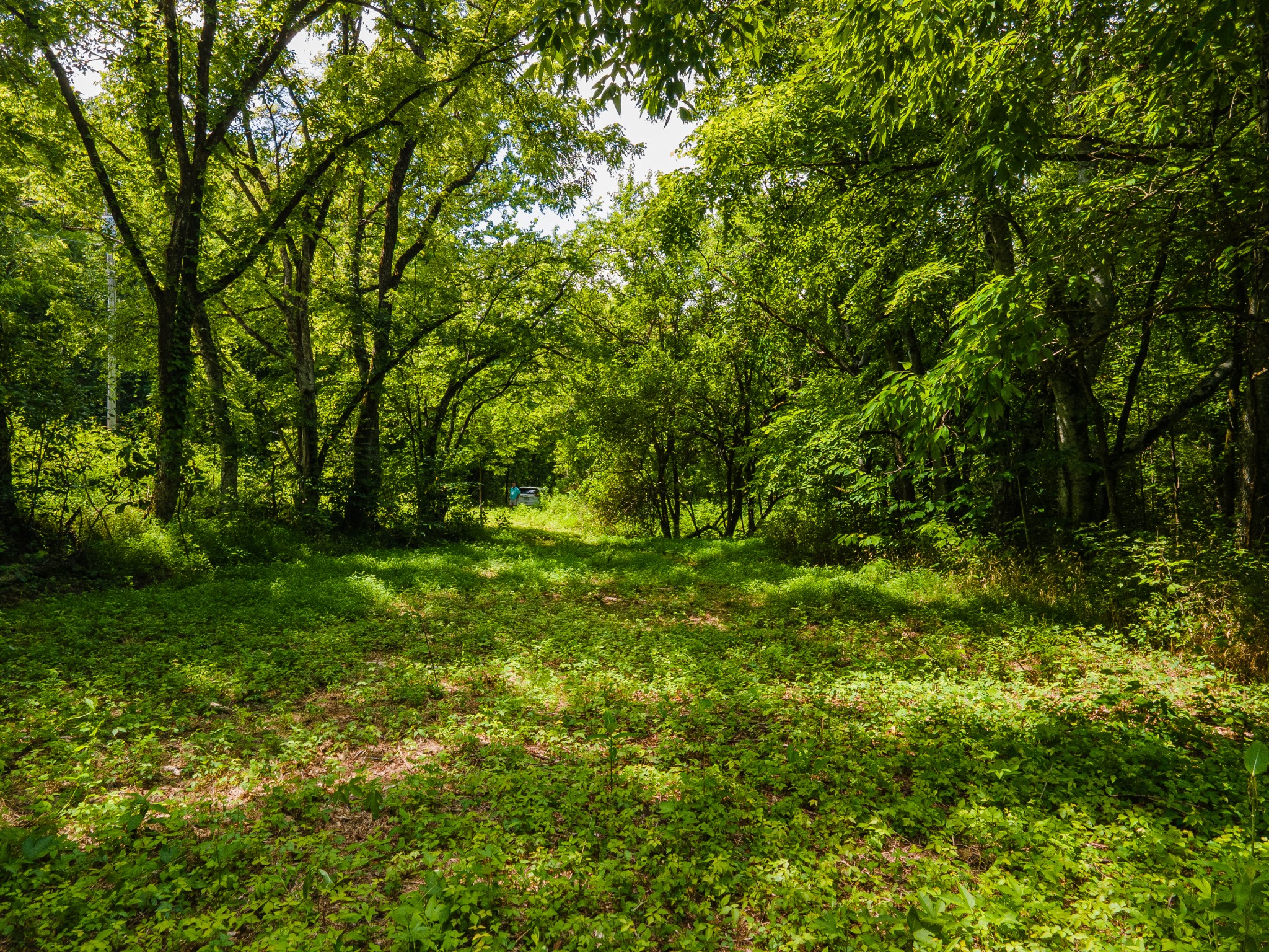 1700 Allen Brown Road Lewisburg, TN 37091 - Photo 26 of 80