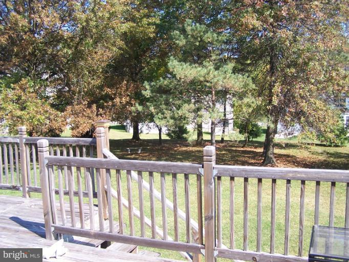 2904 Fairland Road Silver Spring, MD 20904 - Photo 12 of 15 Back yard with Apple grove.