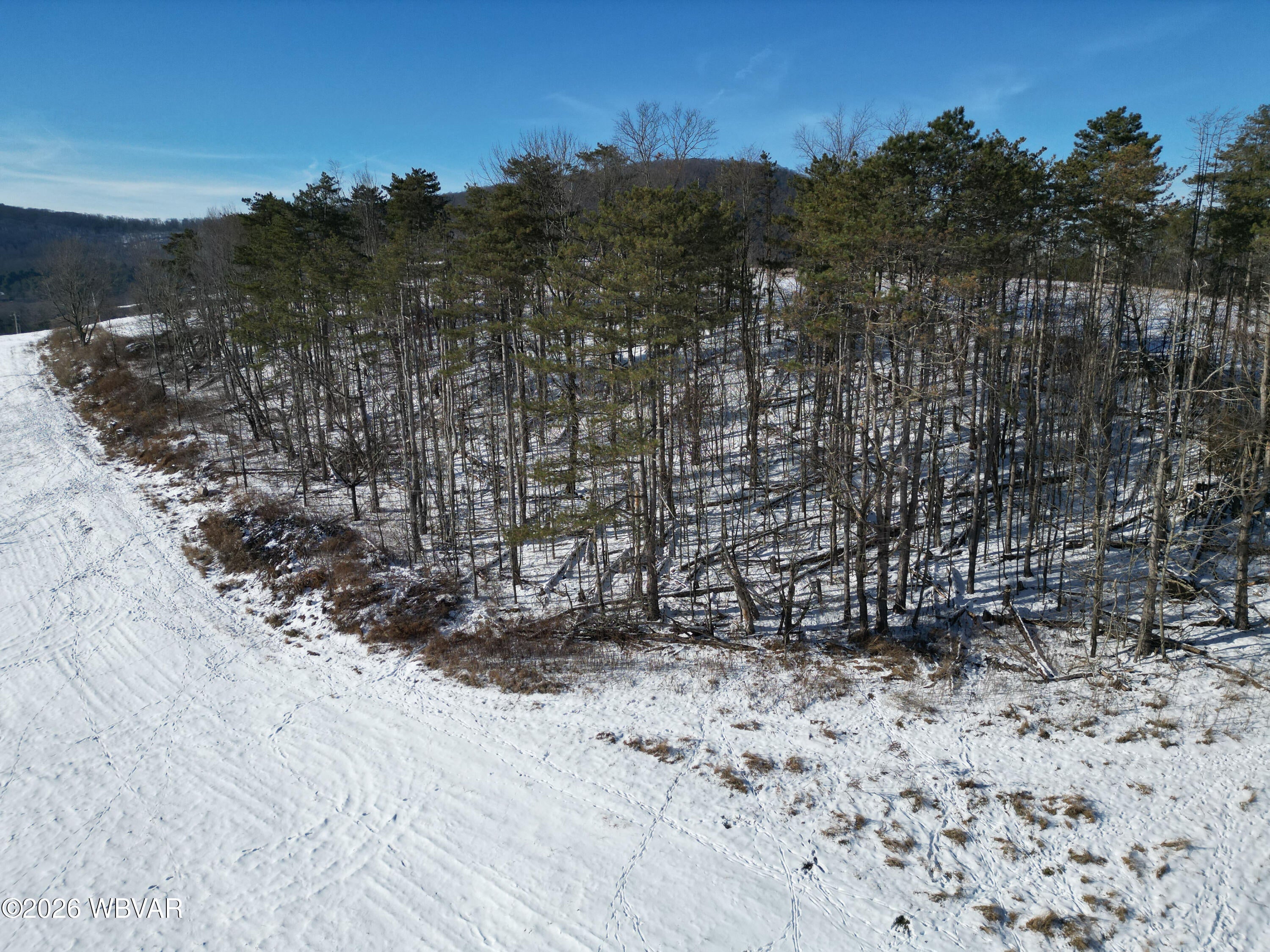 7606 Rose Valley Road, Unit PARCEL 4 Trout Run, PA 17771 - Photo 6 of 12 Gallery Image 6