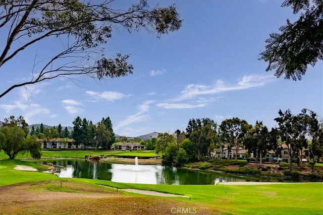 a view of a house with a yard and a tree