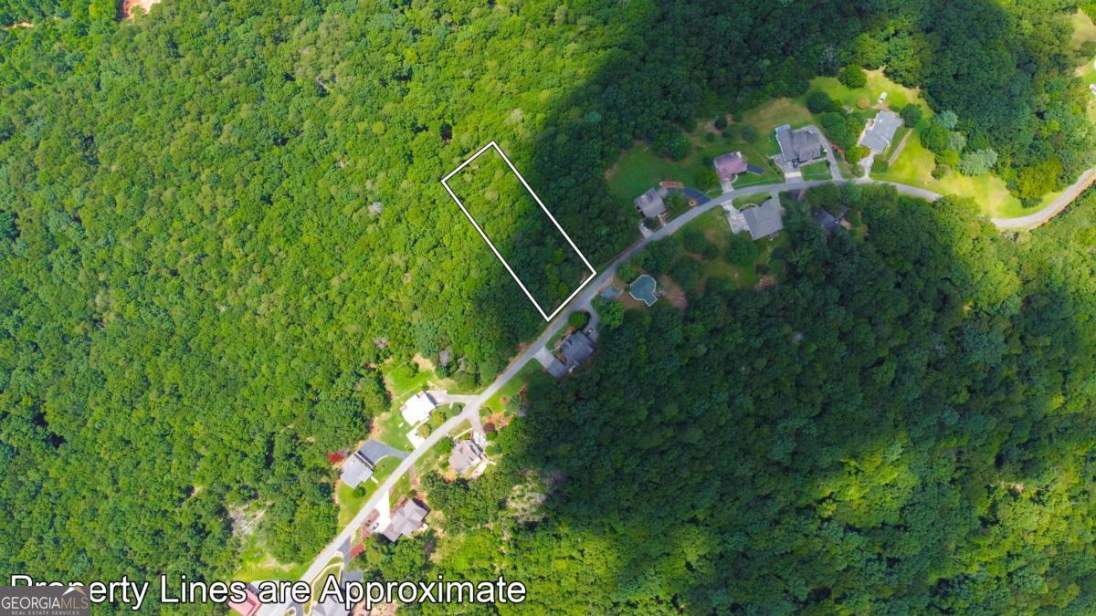 Lot 34 Talona Mountain Road, Unit 34 Ellijay, GA 30536 - Photo 2 of 4