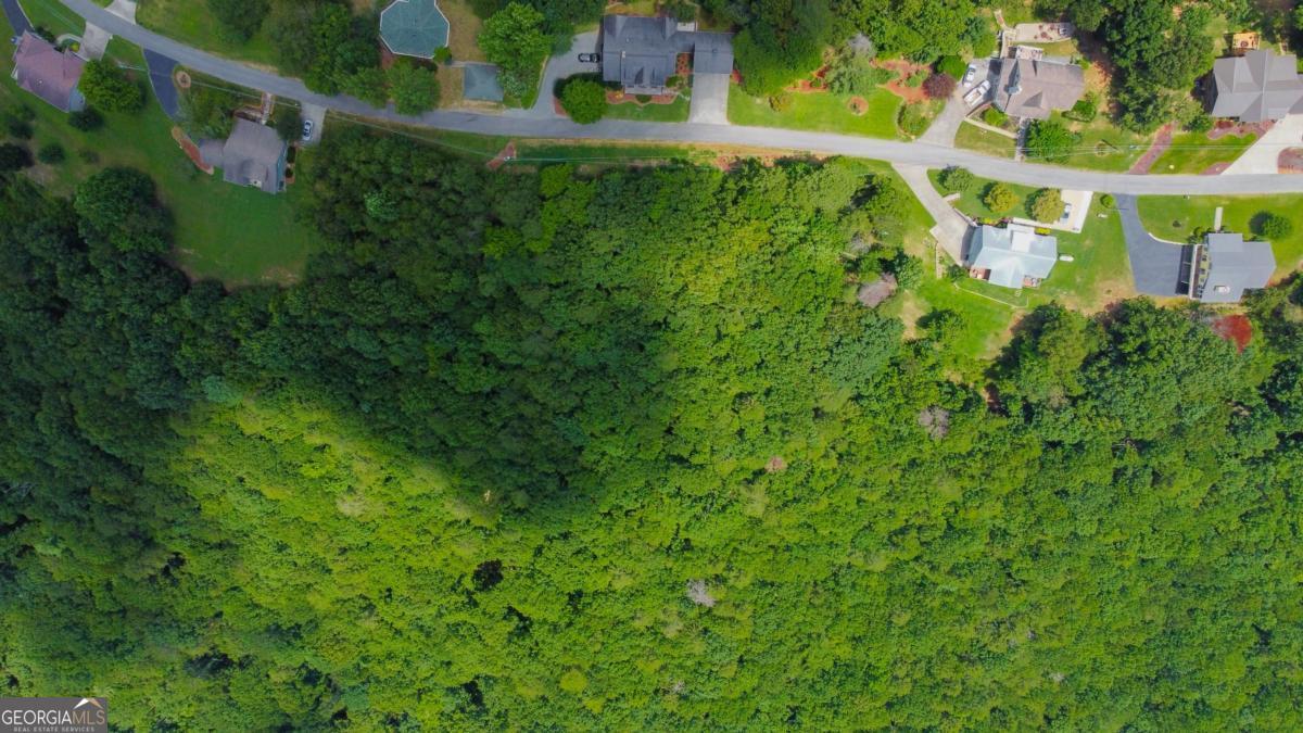 Lot 34 Talona Mountain Road, Unit 34 Ellijay, GA 30536 - Photo 3 of 4