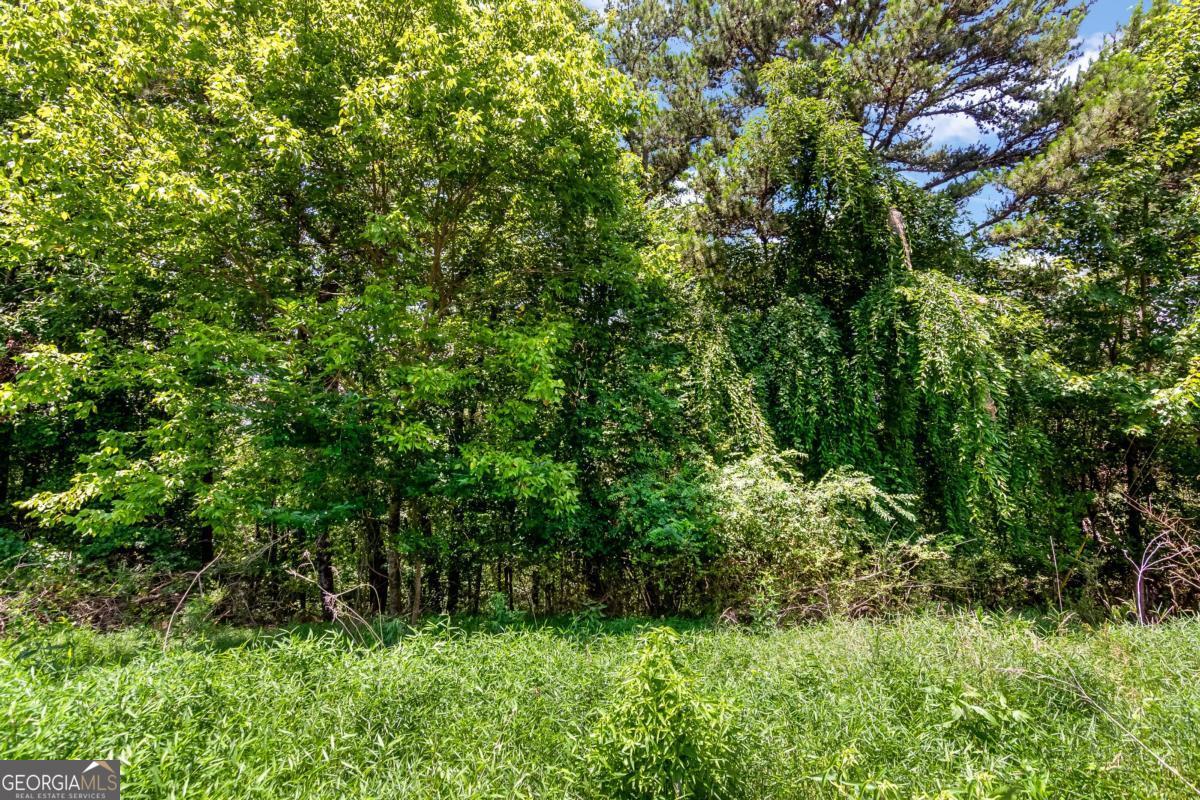 Lot 34 Talona Mountain Road, Unit 34 Ellijay, GA 30536 - Photo 4 of 4