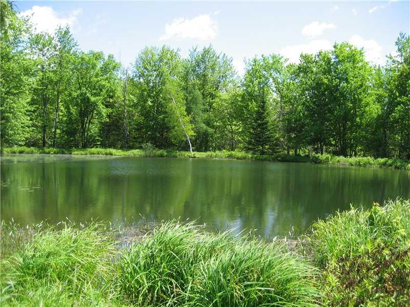 97 West Appleton Road Searsmont, ME 04973 - Photo 10 of 22 Exterior Front. Farm pond is stocked...