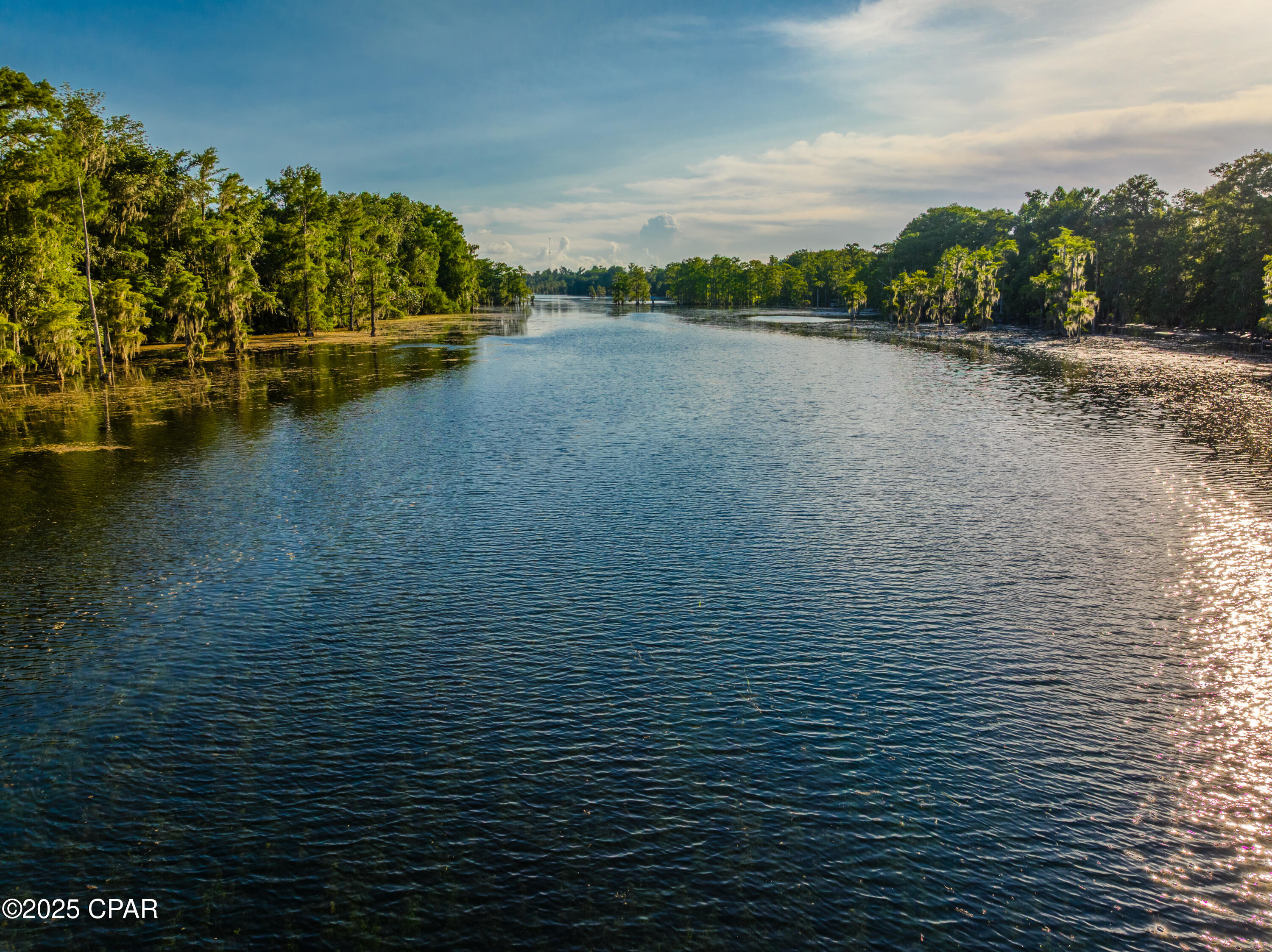 5255 Limestone Lane Marianna, FL 32446 - Photo 49 of 50