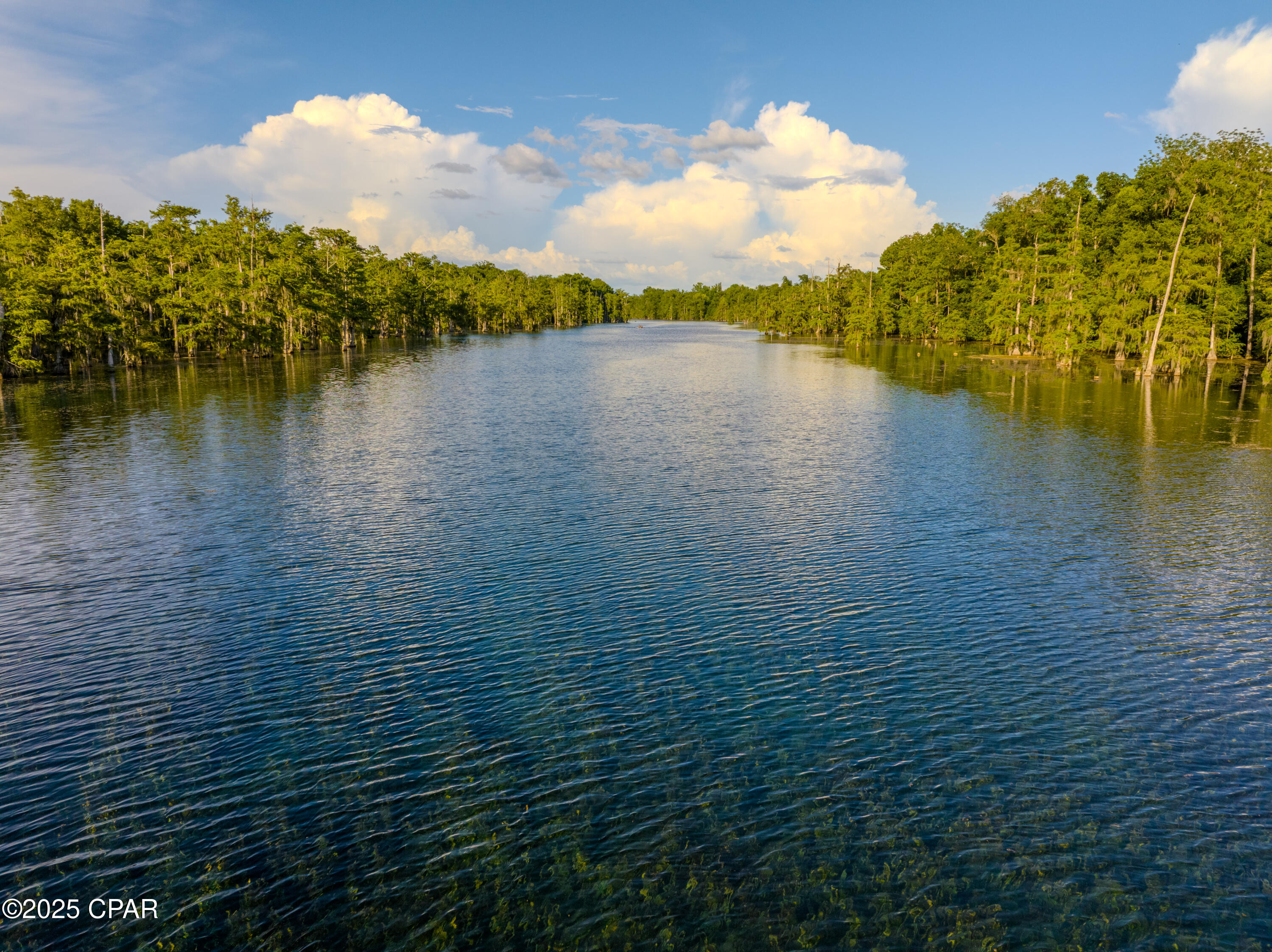 5255 Limestone Lane Marianna, FL 32446 - Photo 50 of 50