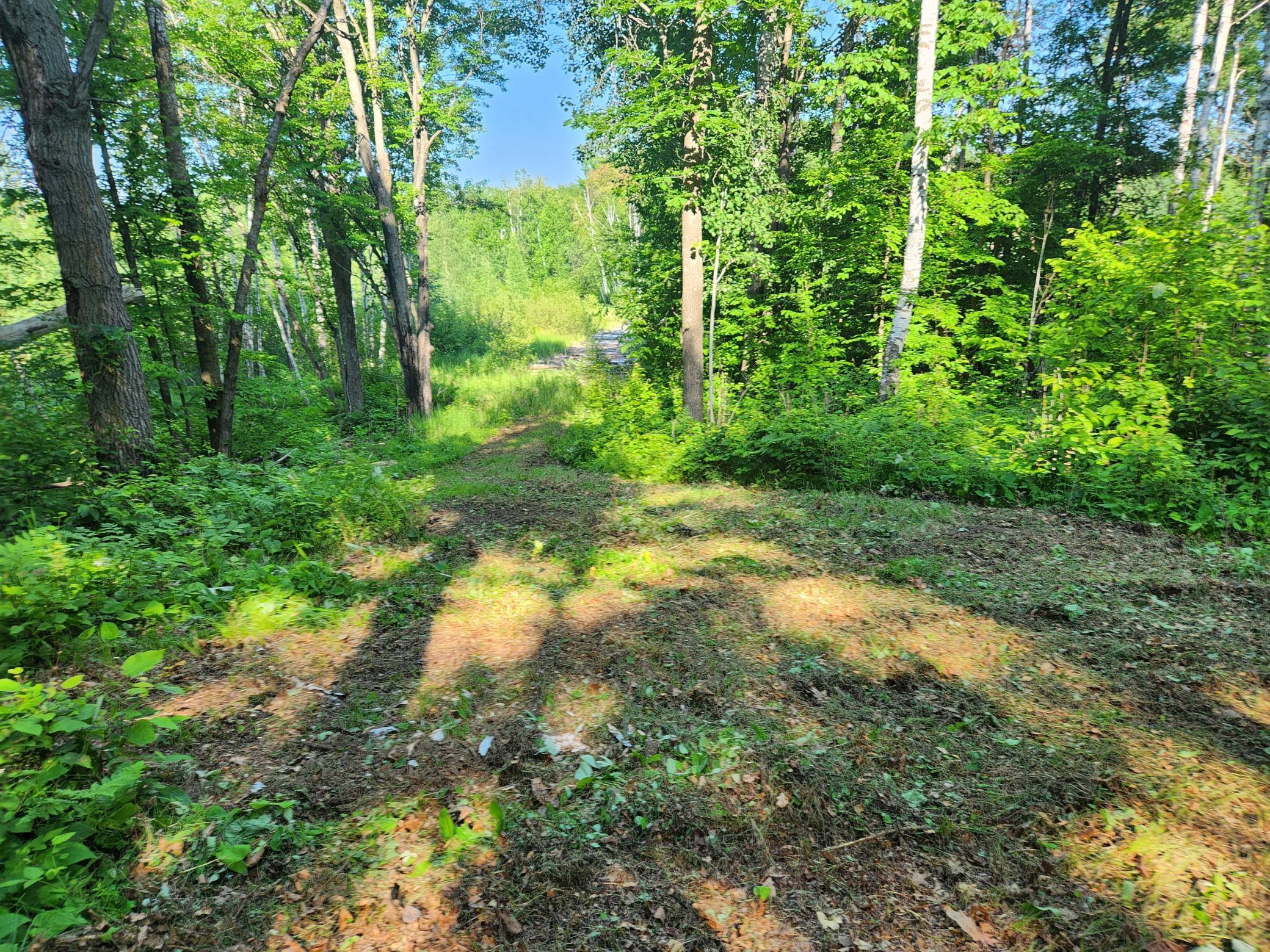 Tbd Tbd Nokay Hall Road Brainerd, MN 56401 - Photo 23 of 31