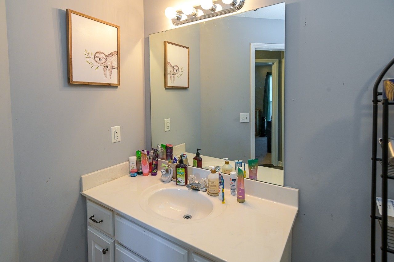 280 Flintville School Road Elora, TN 37328 - Photo 29 of 40 a bathroom with a sink vanity and a mirror