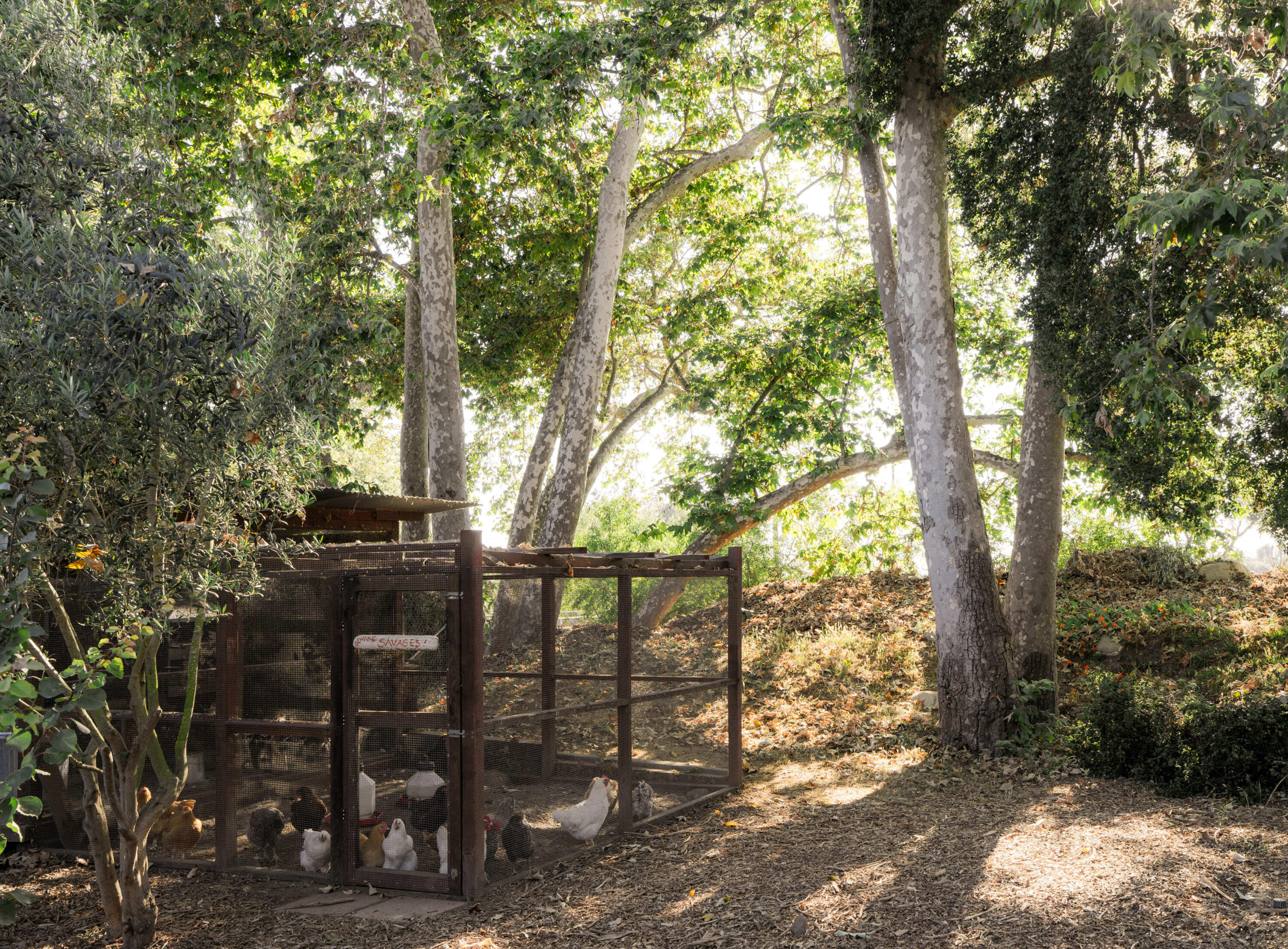 3880-3882 Foothill Road Carpinteria, CA 93013 - Photo 21 of 30 Picturesque Chicken Coop