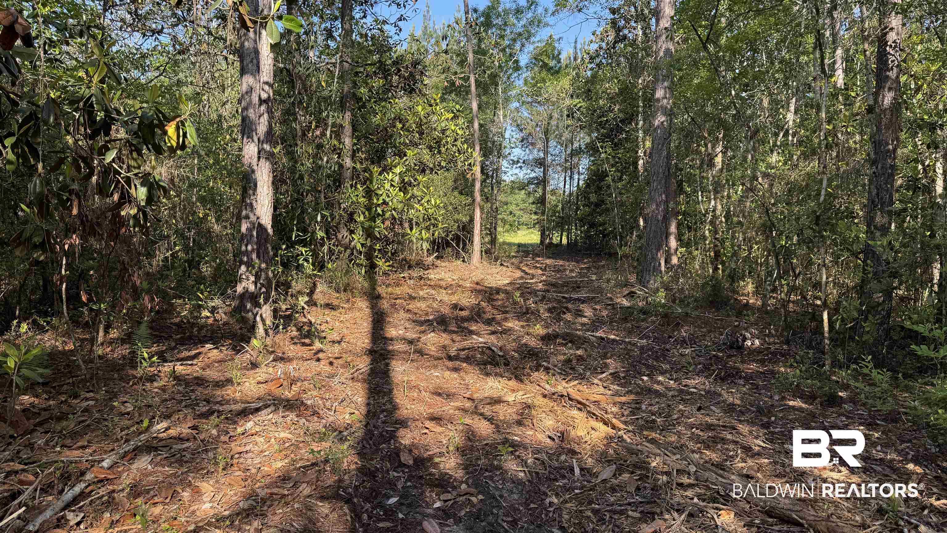 0 Lechner Road Robertsdale, AL 36567 - Photo 11 of 35 View of tree filled area