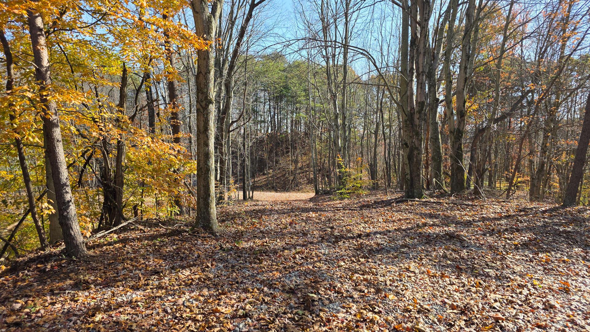 830 Nibert Road, Unit PONDS POPLAR RIDGE TRACT 3) Gallipolis, OH 45631 - Photo 8 of 23 CT-8