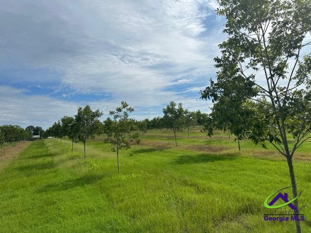 Henderson Springs Road Elko, GA 31025 - Photo 14 of 24