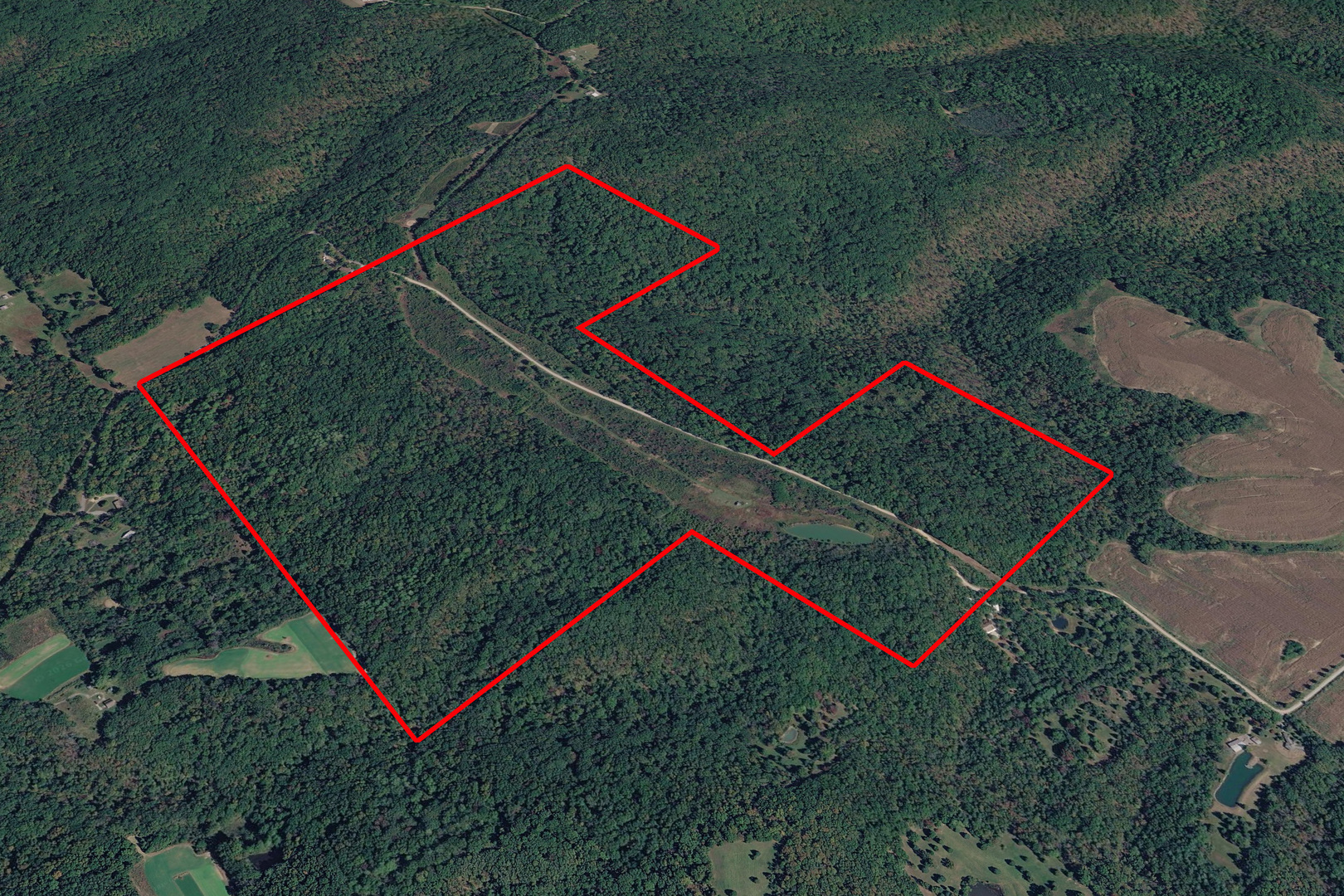 191 Bruce Johnson Road Herod, IL 62947 - Photo 1 of 36